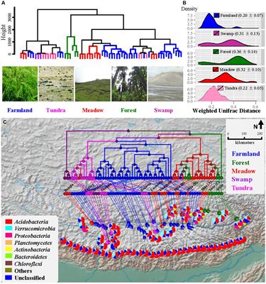 Barley farmland harbors a highly homogeneous soil bacterial community compared to wild ecosystems in the Qinghai-Xizang Plateau